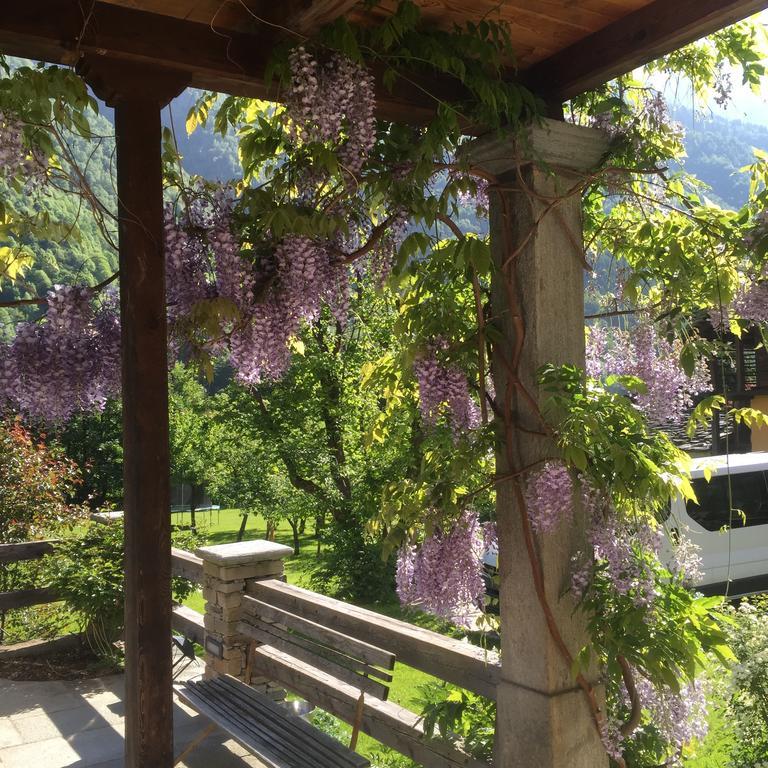 알라냐발세시아 Tre Alberi Liberi B&B 외부 사진
